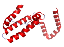 IL10 Crystal Structure.rsh.png