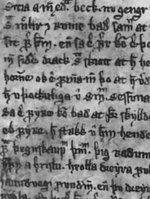 Ausschnitt der Handschrift von Ragnars saga loðbrókar