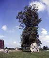 Avebury