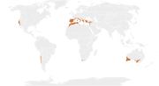 Thumbnail for Mediterranean forests, woodlands, and scrub