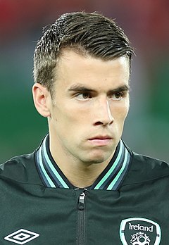 Séamus Coleman (2013)