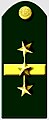 Insinia de coronel Exércitu Nacional de Colombia.