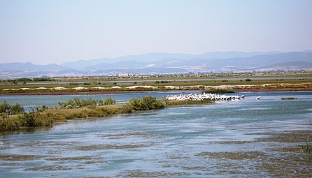 Το Δέλτα του Έβρου