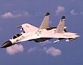 Shenyang J-11