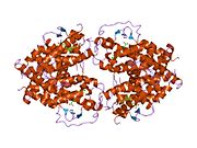 1xdk​: Kristalna struktura RAR-beta/RXR-alfa ligand vezujućeg domena heterodimera u kompleksu sa 9-cis retinoinskom kiselinom i fragmentom TRAP220 koaktivatora