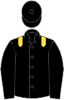 Black, yellow epaulets