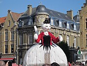 Cortège des chats.