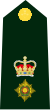 Lieutenant Colonel/ Lieutenant-colonel