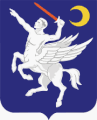 160th Special Operations Aviation Regiment "Night Stalkers"