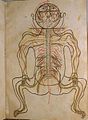 Image 7A coloured illustration from Mansur's Anatomy, c. 1450 (from Science in the medieval Islamic world)