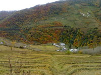 نمایی از روستای پلام در فصل پاییز