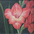 Gladiole, Philippi Ernst