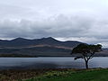 Lakes of Killarney