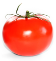 Tomato-front.png: view from the front