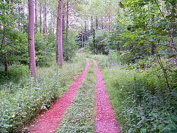 Chemin du Bois de Maretz.