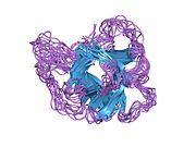 1irp​: Rešenje strukture ljudskog antagonista interleukin-1 receptor proteina