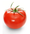 Tomato-global.png: global view