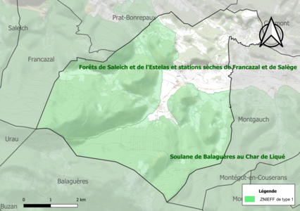 Carte des ZNIEFF de type 1 sur la commune.