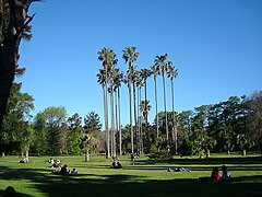 Park Prado