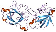 1ilr​: Kristalna struktura antagonista interleukin-1 receptora