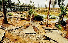 A washed out sidewark surrounded by trees and water