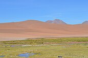 Bofedales in the foreground