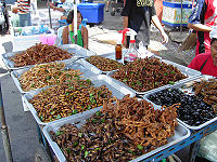 Street Food in Bangkok[9]