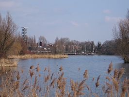 Bergse Achterplas met uitkijktoren Plaswijck