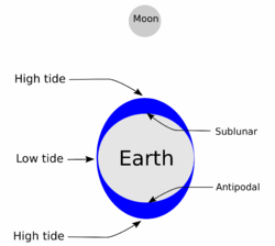 Diagram som viser hvordan sol og måne skaper tidevann.