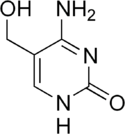 Image illustrative de l’article 5-Hydroxyméthylcytosine