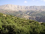 Landscape with barren hills in the background, a valley and a mountain slope with low trees in the foreground.