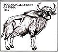 Thumbnail for Zoological Survey of India