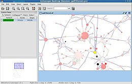 Cytoscape in esecuzione su Mandriva, distribuzione di GNU/Linux.