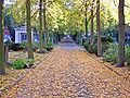 main walk through the cemetery