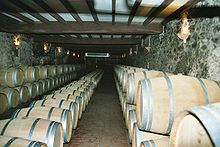 Photographie en couleur montrant un chai d'élevage à Sauternes (vin blanc liquoreux). Les barriques sont alignées sur trois rangées ; contre les murs, elles sont empilées sur deux hauteurs et pour le rang au milieu, une seule hauteur existe. Les barriques de couleur claires révèlent la jeunesse des barriques. Le sol est carrelé, les murs sont en pierre, revêtus de moisissures de chai grisâtres et le plafond est blanc soutenu par des poutres teintées en foncé. L'éclairage mural fait penser à des torches médiévales.