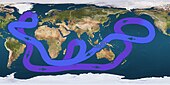 Mapa que mostra unha liña en bucle con frechas que indican que a auga flúe cara ao leste no afastado océano Antártico, diríxese cara ao nordés de Australia, xira cara ao sur despois de pasar Alasca, cruza o Pacífico medio para fluír cara ao norte de Australia, continúa cara ao oeste por baixo de África, xira cara ao noroeste ata chegar ao leste de Canadá, logo diríxese cara ao leste ata o sur de Europa, finalmente vira cara ao sur xusto por baixo de Groenlandia e flúe pola costa este de América, e renova o seu fluxo cara ao leste para completar o círculo