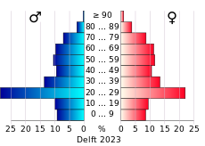 Bevolkingspiramide van de gemeente Delft