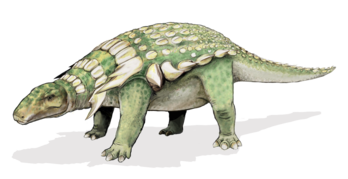 Un dinosaure à carapace Edmontonia, de la super-famille des Ankylosauria et de la famille des Nodosauridae, de la période du Crétacé inférieur. (définition réelle 1 300 × 772*)