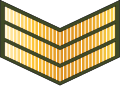 Sarjan (Royal Brunei Land Force)[35]