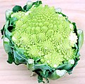 Brassica oleracea Kelompok Botrytis - kubis Romanesco.