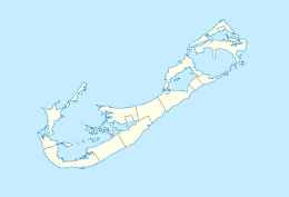 Bermuda di Bermuda