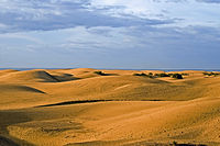 Duinen van Maspalomas