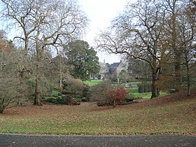 Gardens in winter