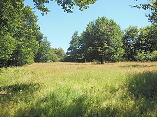 Site gallo-romain de Segosa.