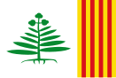 Bandeira