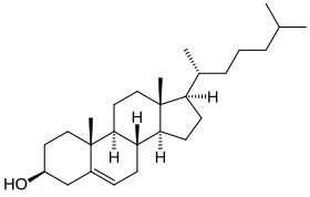 Chemical structure of cholesterol