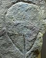 Stone Age petroglyph of a vulva