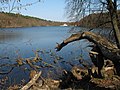 Obersee in Wandlitz-Lanke