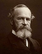 William James -  Bild