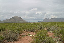 Similar view of Threemile Mountain (left) and Beach Mountains (right) in 2008